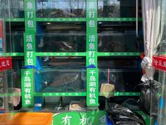 -全乐鱼馆·淳牌有机鱼直营店