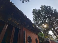-洛阳白马寺