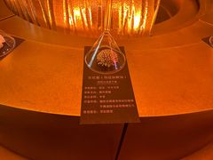 -舒小悦·舒养SPA·古法推拿(光环中心店)