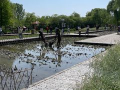 -溱湖国家湿地公园