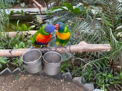 -南宫五洲植物乐园