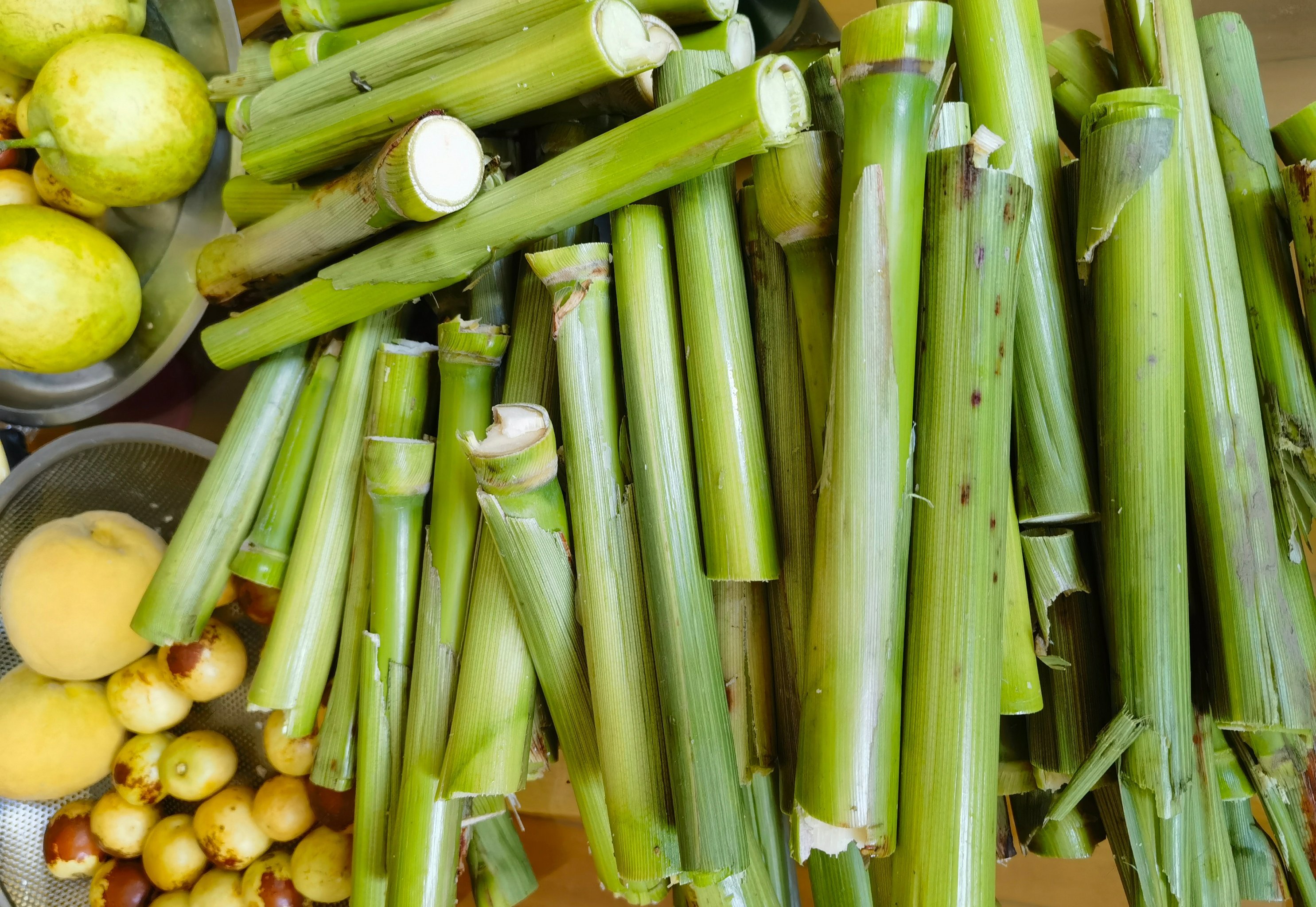 今夏的第一口甜芦粟,你吃了吗❓️