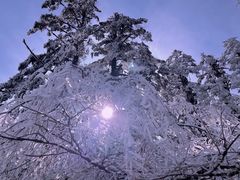 -瓦屋山景区