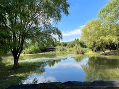 -长广溪湿地公园