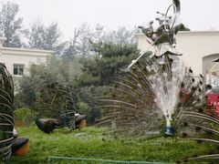 -月亮河温泉度假酒店