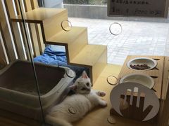 -Double Rui宠物酒店