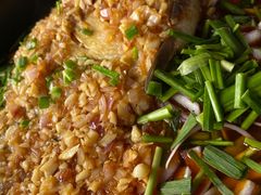 -印象鲵宴·张家界地标美食名片(溪布街店)