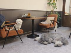 -沏点Trattoria意大利餐厅(新街口店)