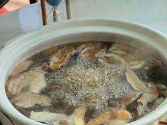 -蘑统田下·野生菌火锅