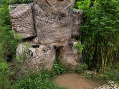 -黄色小屋