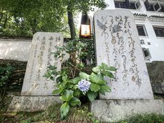 -严子陵钓台(富春江小三峡)