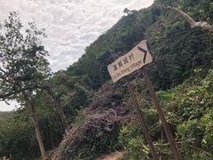 -南丫岛