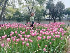 -无锡梅园公园