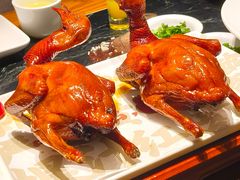 -大鸽饭(北京路店)