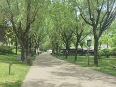 -唐城墙遗址公园