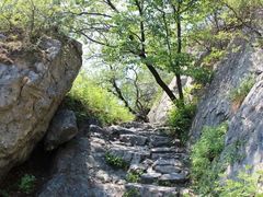 -阳台山自然风景区