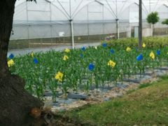 android_upload_pic-上海多利农业发展有限公司