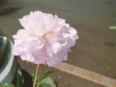 -BreadTalk面包新语·烘焙蛋糕(海岸城店)
