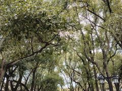 -西园寺