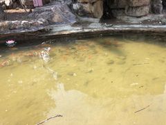 -盛世南宫影视城(北普陀影视城)