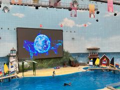 -海合安天津极地海洋公园