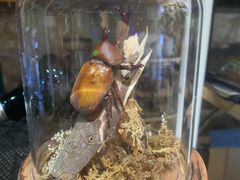 -Rabbit Cafe私房西餐甜点咖啡(栖霞路店)