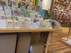 -猫的天空之城概念书店(束河店)