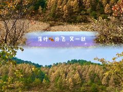 -百里山水画廊