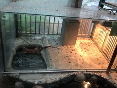 -上海大自然野生昆虫馆(东方明珠·爬宠昆虫探索中心)