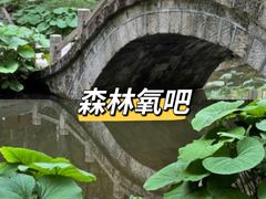 -洛阳白云山景区