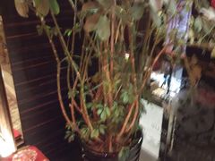 -陈府大宅门成都火锅·手切鲜肉(太原街店)
