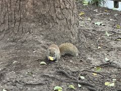 -杭州湖滨银泰in77