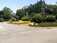 -上海长兴岛郊野公园