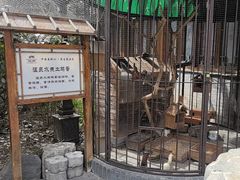 -麦积山温泉