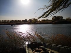 -大兴滨河森林公园