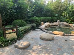 -天目湖涵田半山温泉