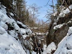 -峡谷浮石林景区