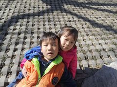 -津菜宋记老房子(平山道店)