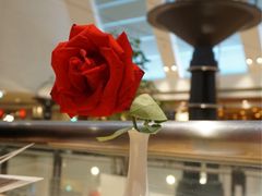 -关夫人餐厅(阳光广场店)