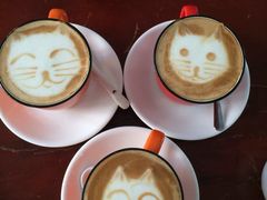 Anne猫窝咖啡屋-Anne猫窝咖啡屋