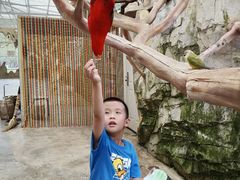-昆明动物园