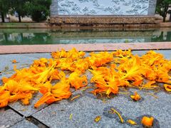 -楠溪江风景名胜区