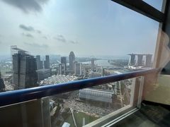 -新加坡瑞士史丹福酒店