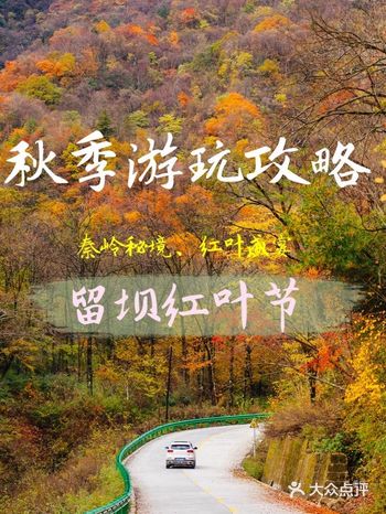 秦岭秋季秘境｜体验一场红叶盛宴