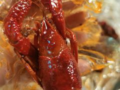-文和友老长沙龙虾馆(化龙池店)
