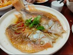-玫瑰园(中央路店)