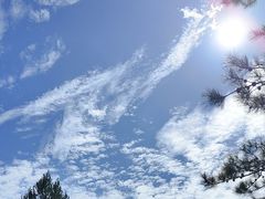 -磬锤峰森林公园