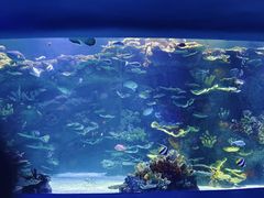 -欢乐海岸海洋奇梦馆