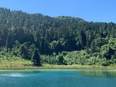 -武陵山森林公园