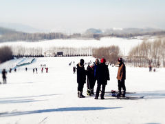 -玉泉威虎山森林公园